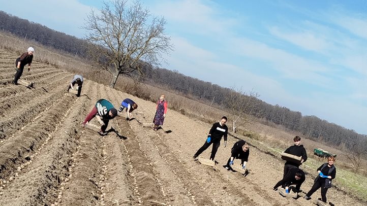 Nagydobronyban és Csongoron már vetik a krumplit