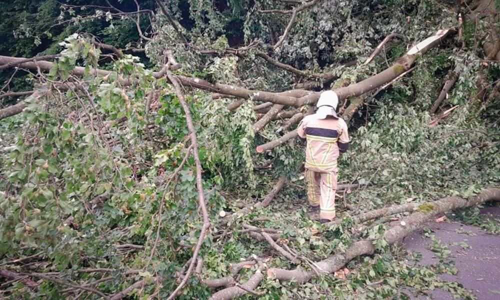 Kárpátalján az ítéletidő miatt 18 település maradt áram nélkül