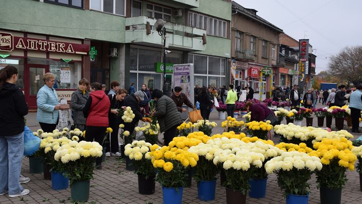 Halottak napja: A csúcsra járatás időszakához érkezett a krizantémvásár - Kisebb kínálat, változatlan árak. Fotó: Kárpátinfó/ Kovács Elemér