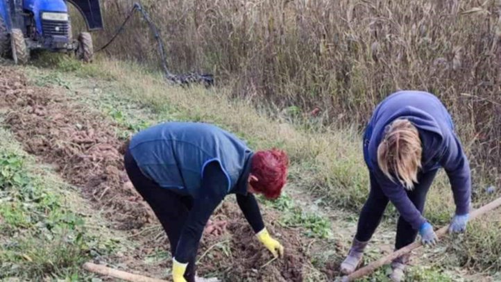 Évértékelő a Pro Agricultura Carpatika falugazdászaival