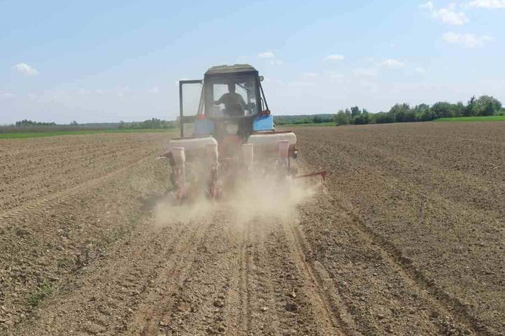 Tavaszi forduló – 2026 - Esőre várva