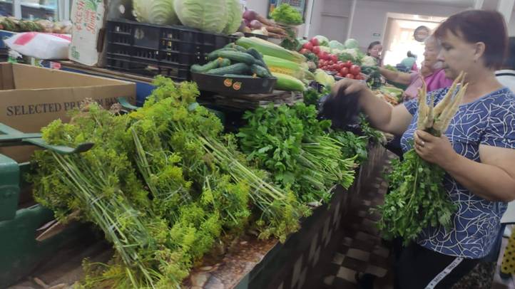 Zöldségtermesztés. Elmarad a csúcsra járatás időszaka? - Nincs túlkínálat, késik a dömping. Fotó: Kárpátinfó/ Kovács Elemér