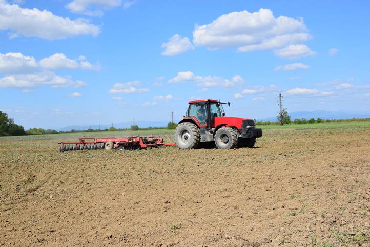 Elkezdődött a tavaszi forduló - Mely növényeket favorizáljuk?
