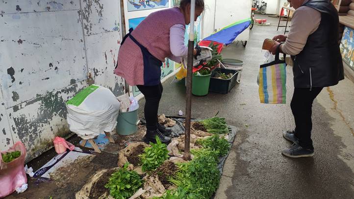 Tart a palántaszezon - Mérsékelt árak, bőséges kínálat. Fotó: Kárpátinfó/  Kovács Elemér