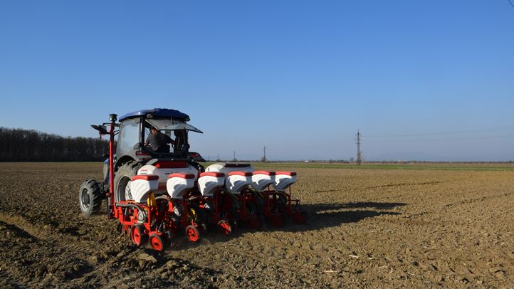 A nagy kérdés, mit vessünk ?