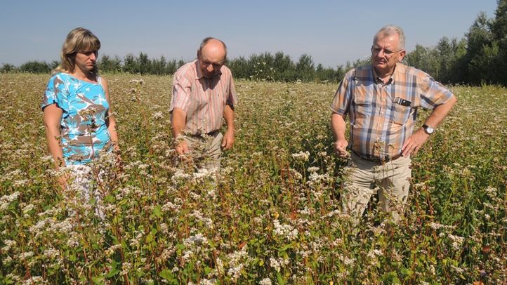 Virágzó hajdinamező közepében