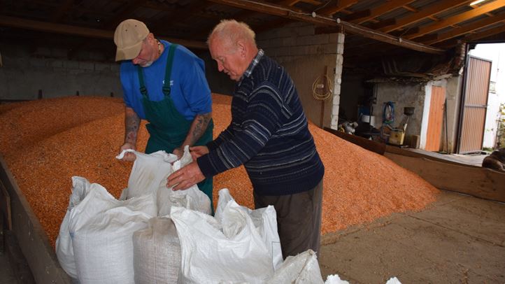 A kukoricában reménykednek a gazdák