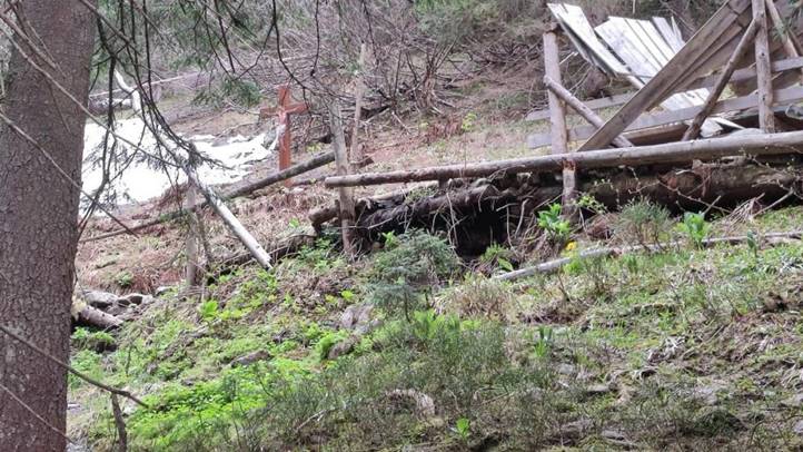 Egyre több a medve a hegyvidék határ menti övezeteiben – munkácsi határőregység