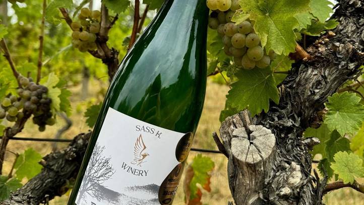 Szőlőtermesztés 2024 – Kihívások és válaszok - Előtérben az okszerű növényvédelem. Fotó: Kárpátinfó/ Kovács Elemér