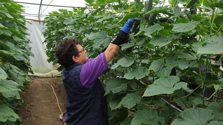 Évértékelő a Pro Agricultura Carpatika falugazdászaival