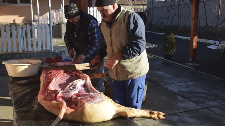 Házunk táján - Olcsóbb a malac, a hízó. Fotó: Kárpátinfó/ Kovács Elemér