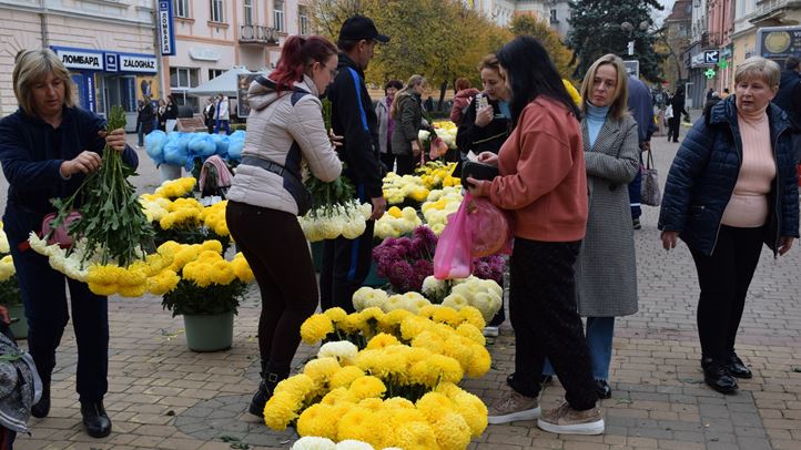 Halottak napja: A csúcsra járatás időszakához érkezett a krizantémvásár - Kisebb kínálat, változatlan árak. Fotó: Kárpátinfó/ Kovács Elemér
