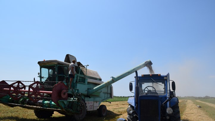 Aratás – 2024 - A kevesebb most több. Fotó: Kárpátinfo/Kovács Elemér