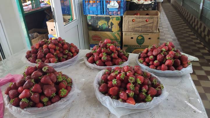 Tele kamra – 2025 - Búcsú az olcsó befőzési szamócától. Fotó: Kárpátinfó/ Kovács Elemér