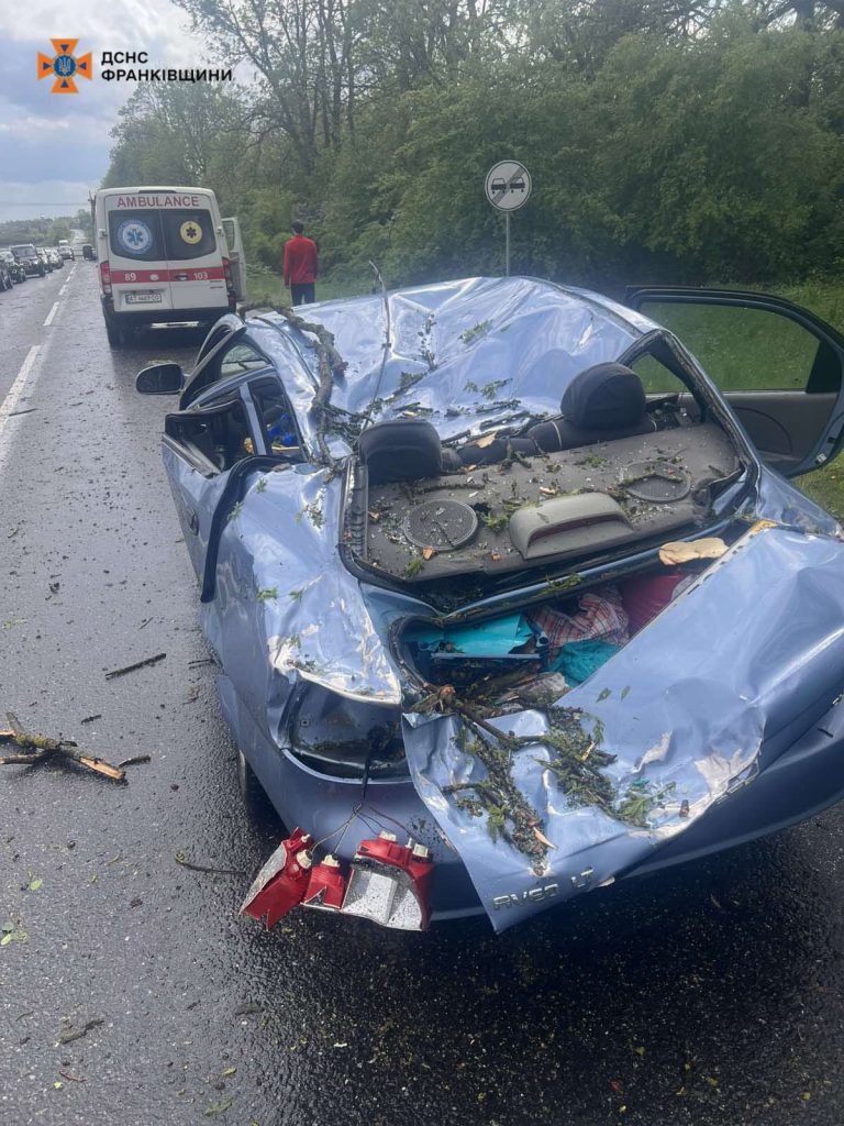 A Munkács–Lemberg autóúton a vihar mintegy 20 fát döntött ki