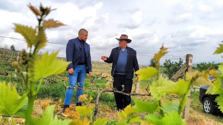 Szőlőtermesztés 2024 – Kihívások és válaszok - Előtérben az okszerű növényvédelem. Fotó: Kárpátinfó/ Kovács Elemér