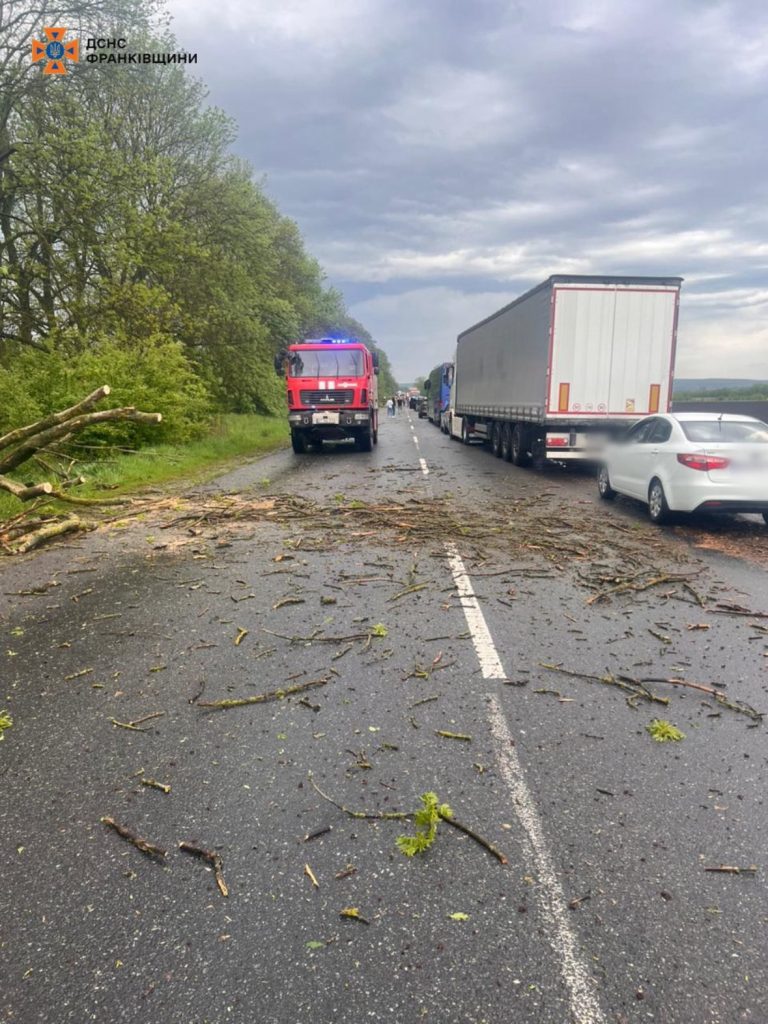 A Munkács–Lemberg autóúton a vihar mintegy 20 fát döntött ki