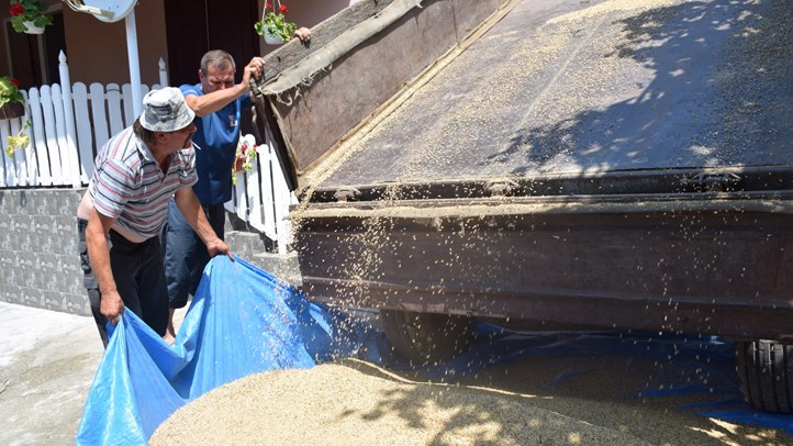 Aratás – 2024 - A kevesebb most több. Fotó: Kárpátinfo/Kovács Elemér