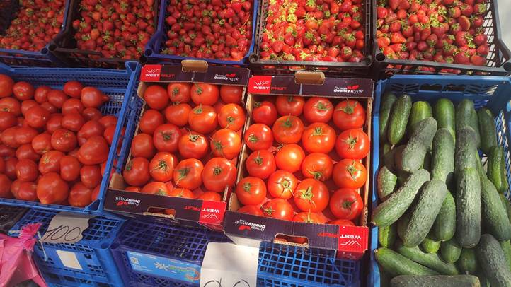 Fóliás zöldségtermesztés – 2025 - Hozamok, árak, kilátások. Fotó: Kárpátinfó/ Kovács Elemér