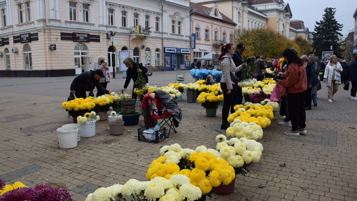 Halottak napja: A csúcsra járatás időszakához érkezett a krizantémvásár - Kisebb kínálat, változatlan árak. Fotó: Kárpátinfó/ Kovács Elemér