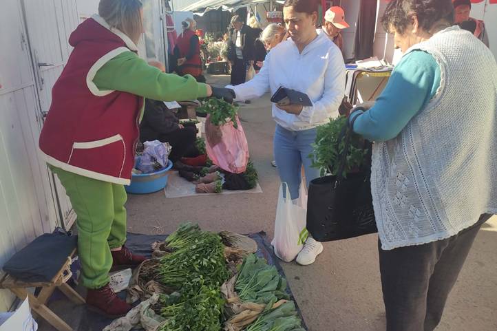 Indul a palántaszezon - Kockázat nélkül nem megy