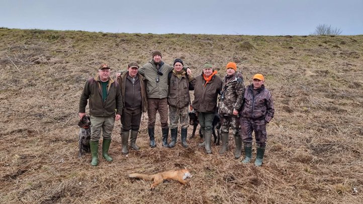 Véget ért a téli dúvadgyérítés - Szaporodó apróvadállomány. Fotó: Kárpátinfó/ Kovács Elemér