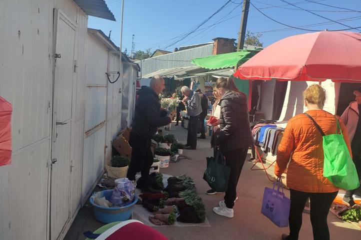 Indul a palántaszezon - Kockázat nélkül nem megy