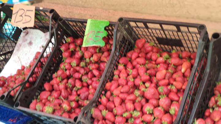 Tele kamra – 2025 - Búcsú az olcsó befőzési szamócától. Fotó: Kárpátinfó/ Kovács Elemér