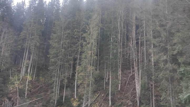 Honismereti osztálykirándulás a Fekete-Tisza forrásvidékére - A szülőföld szépsége és gazdagsága