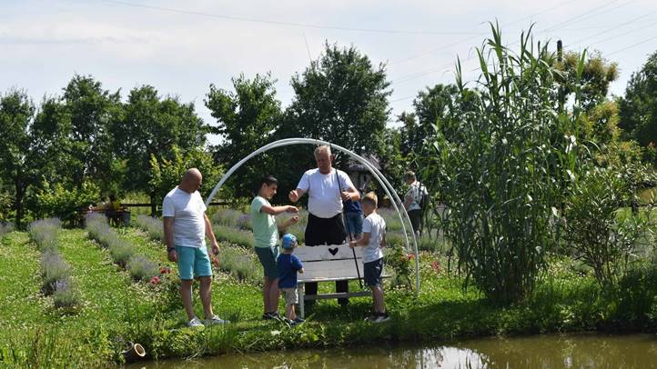 A Beregardai Hegyalja Levendulamezőn szeretettel várják a látogatókat - Ahol megpihenhet a test, felüdülhet a lélek. Fotó: Kárpátinfo/Kovács Erzsébet