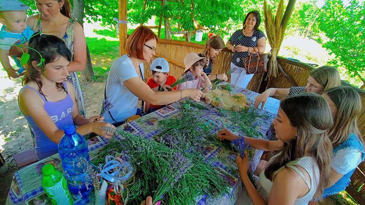 A Beregardai Hegyalja Levendulamezőn szeretettel várják a látogatókat - Ahol megpihenhet a test, felüdülhet a lélek. Fotó: Kárpátinfo/Kovács Erzsébet