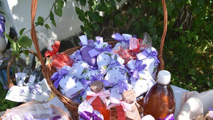 A Beregardai Hegyalja Levendulamezőn szeretettel várják a látogatókat - Ahol megpihenhet a test, felüdülhet a lélek. Fotó: Kárpátinfo/Kovács Erzsébet