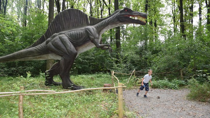 Apa-fia nap a nagycsaládosoknál - Ismerkedés az ősállatokkal. A nagy csobbanás. Fotó: Kárpátinfo/Kovács Elemér