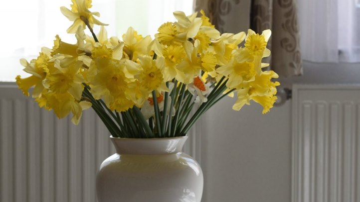 A hét leggyakoribb hiba, amit elkövetünk – a konyhától a gyereknevelésig.  (Fotó: MTI/Kiss Gábor)