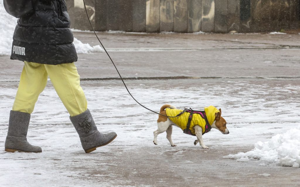 Könnyebb lehet az alkalmazkodás egy reggeli sétával (Fotó: MTI/EPA/Szergej Ilnyickij)