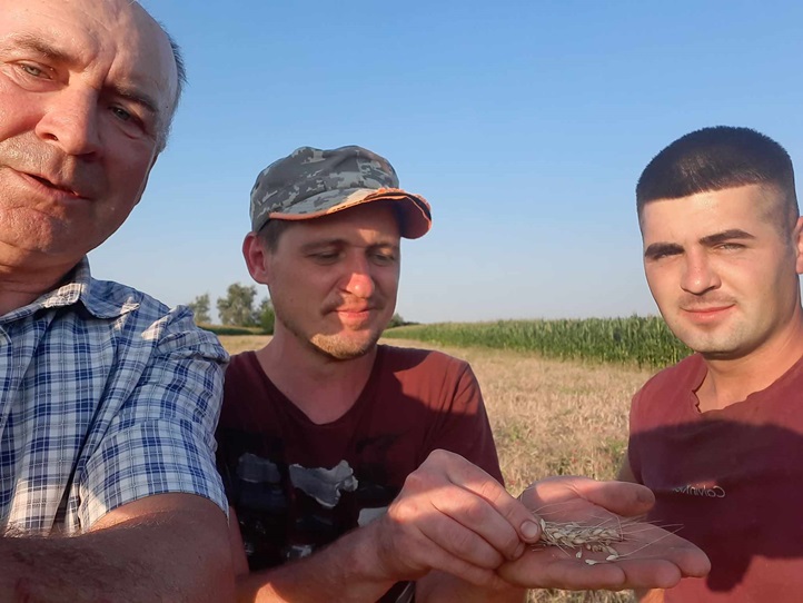 Az árpa levágása után megyénkben nyomban elkezdődött a kenyérgabona betakarítása.