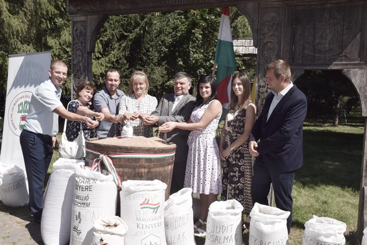 Magyarok kenyere – 15 millió búzaszem. Búzaösszeöntés Nagydobronyban. Fotó: Kovács Elemér