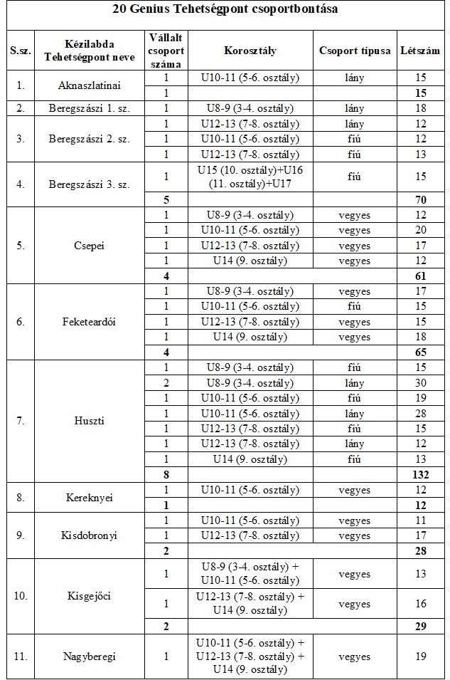 20 Genius Tehetségpont csoportbontása