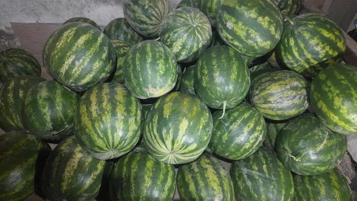 Piaci körkép Ungvárról - A termelés buktatói. Fotó: Kárpátinfo/Kovács Elemér