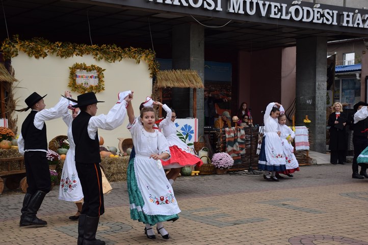 Jótékonysági kulturális fesztivál Beregszászban. Fotó: Kárpátinfo/Kovács Erzsébet