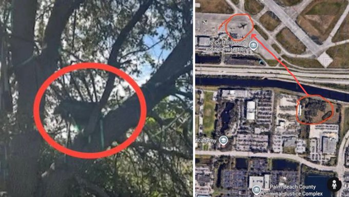 Frissen kiépített vadászlest fedeztek fel a floridai Palm Beach nemzetközi repülőtér közelében, percekkel azelőtt, hogy a városba látogató Donald Trump felszállt volna a Washingtonba visszatérő elnöki gépre. 