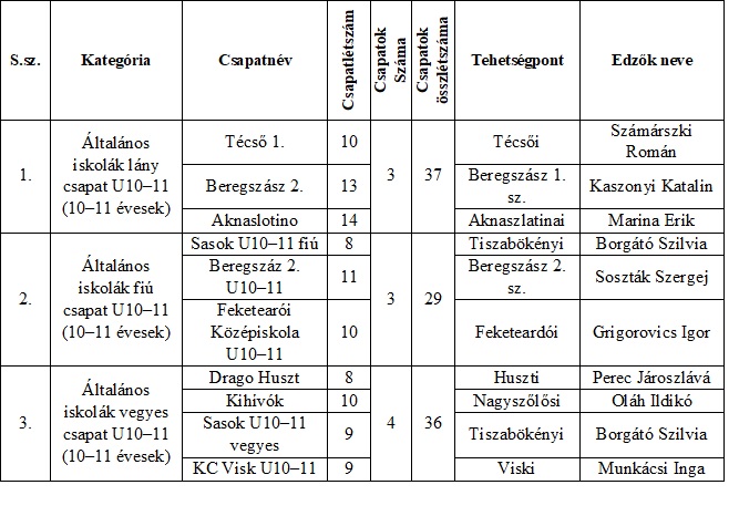 A regisztrálni három kategóriában – fiú, lány és vegyes – és 10 csoportban lehetett