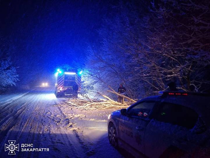 Autókra dőlt fák: a havazás és az erős szél következményei Kárpátalján. Fotó: DSZNSZ