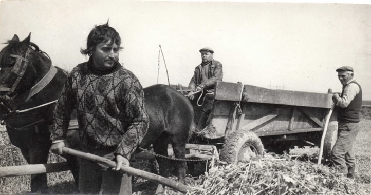Kárpátaljai magyar anekdotakincs - Gizike jó lány… A fotó illusztráció. Kolhozidők...