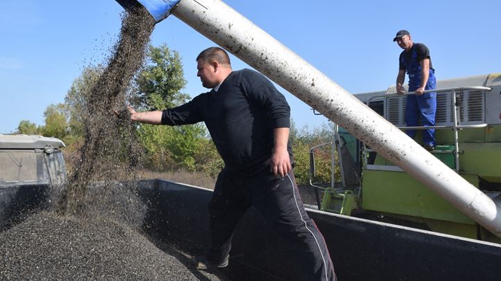 Befejezéshez közeledik az ősziek vetése -Nőtt a termesztési kedv az Ung-vidéki gazdák körében. Fotó: Kárpátinfó/ Kovács Elemér