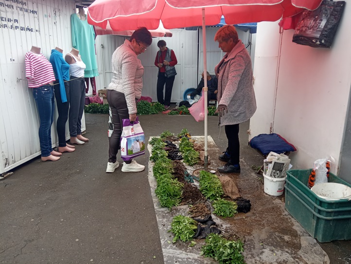 Ideálisan alakul a palántaszezon. Fotó: Kárpátinfo/Kovács Elemér