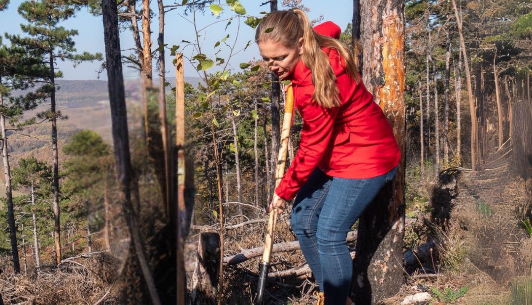 „Nem kelne föl a nap, ha nem lennének fák és madarak" - Madarak és fák napja - Május 10.
