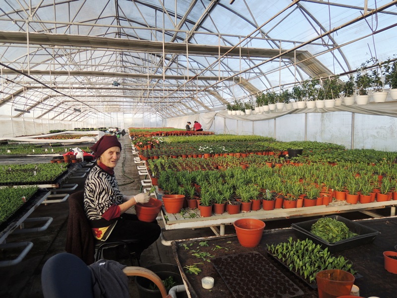 Számvetés – 2022 (2.) - Maximális alkalmazkodóképességre törekszünk