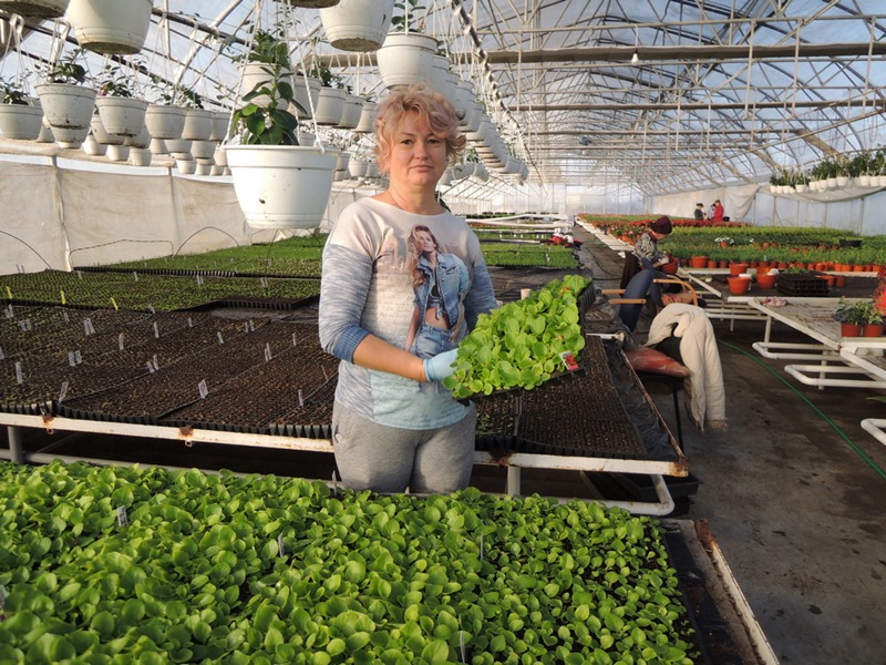 Számvetés – 2022 (2.) - Maximális alkalmazkodóképességre törekszünk