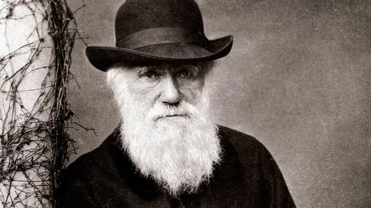 Elárverezik Darwin egy ritka kéziratát, ami 800 ezer dollárt is érhet